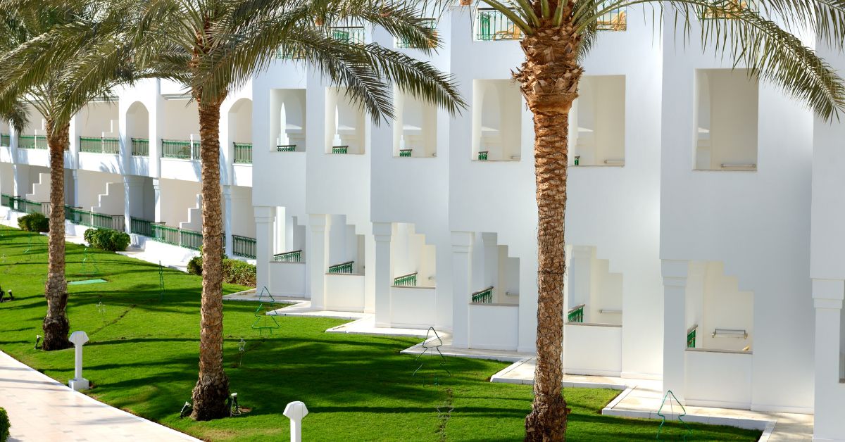 Why stay in one of the Hotels of The Albatros Chain?