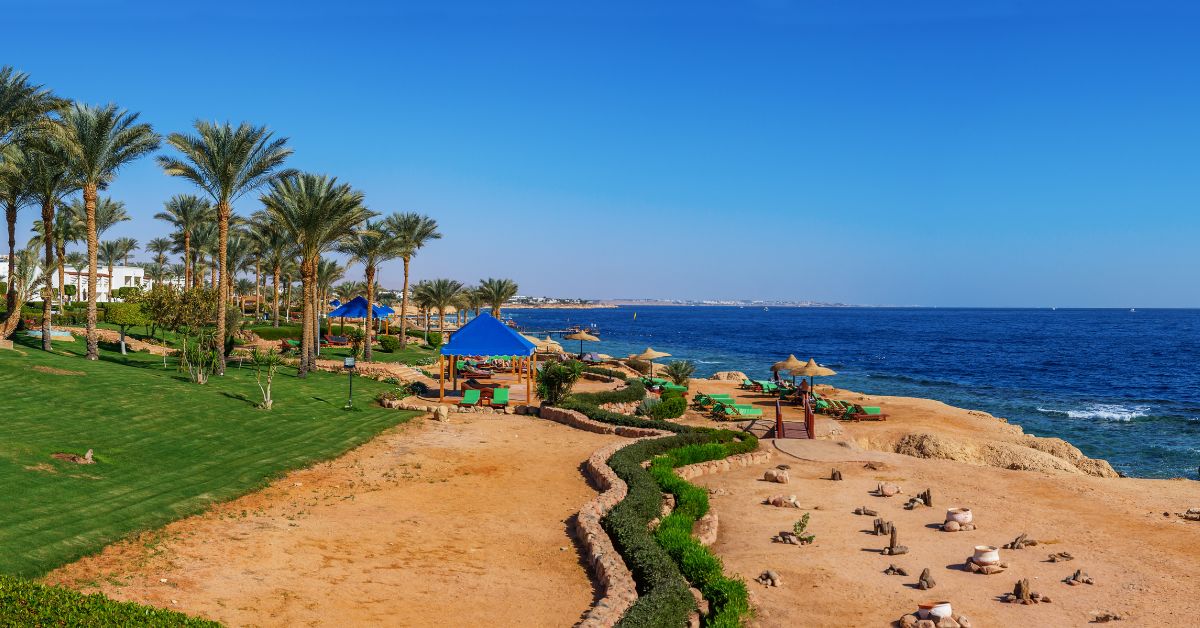 12 Best Luxury Hotels in Sharm El Sheikh