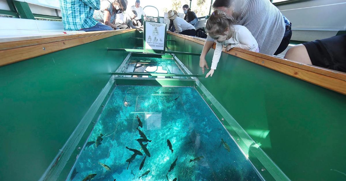Glass Boat Excursion
