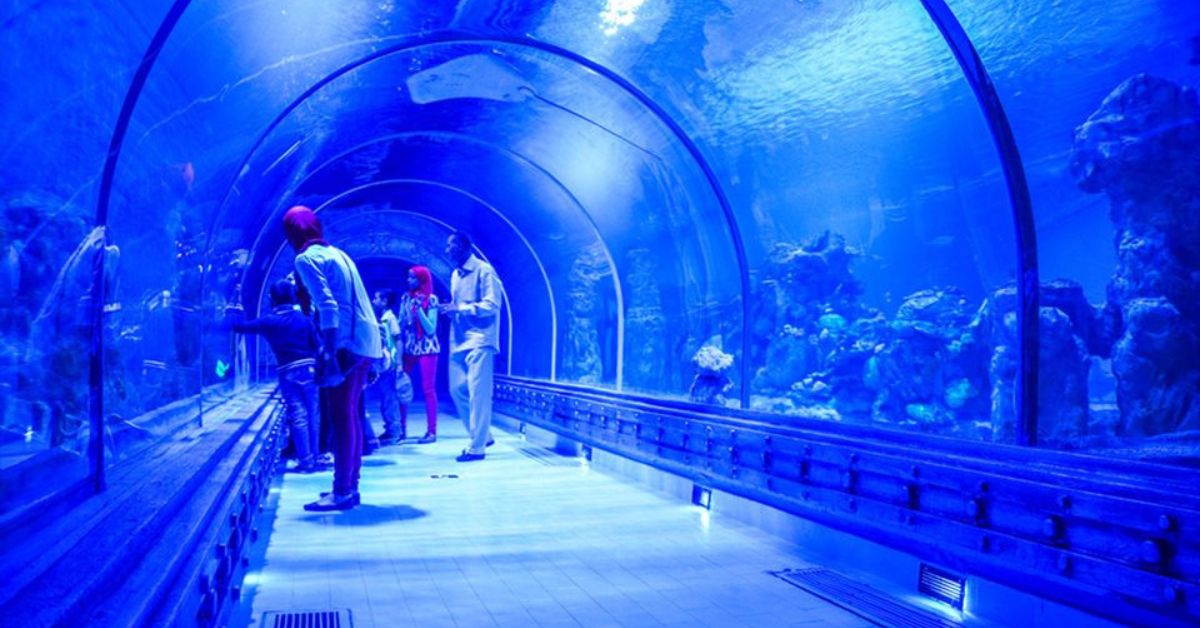 Hurghada Grand Aquarium
