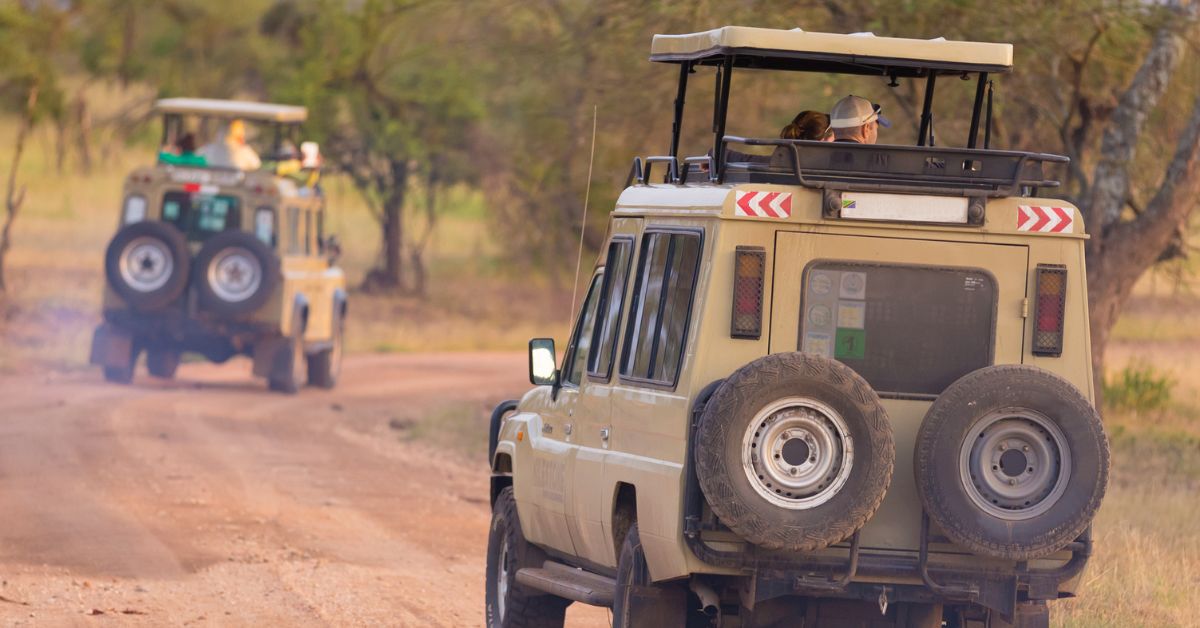 Jeep Safari