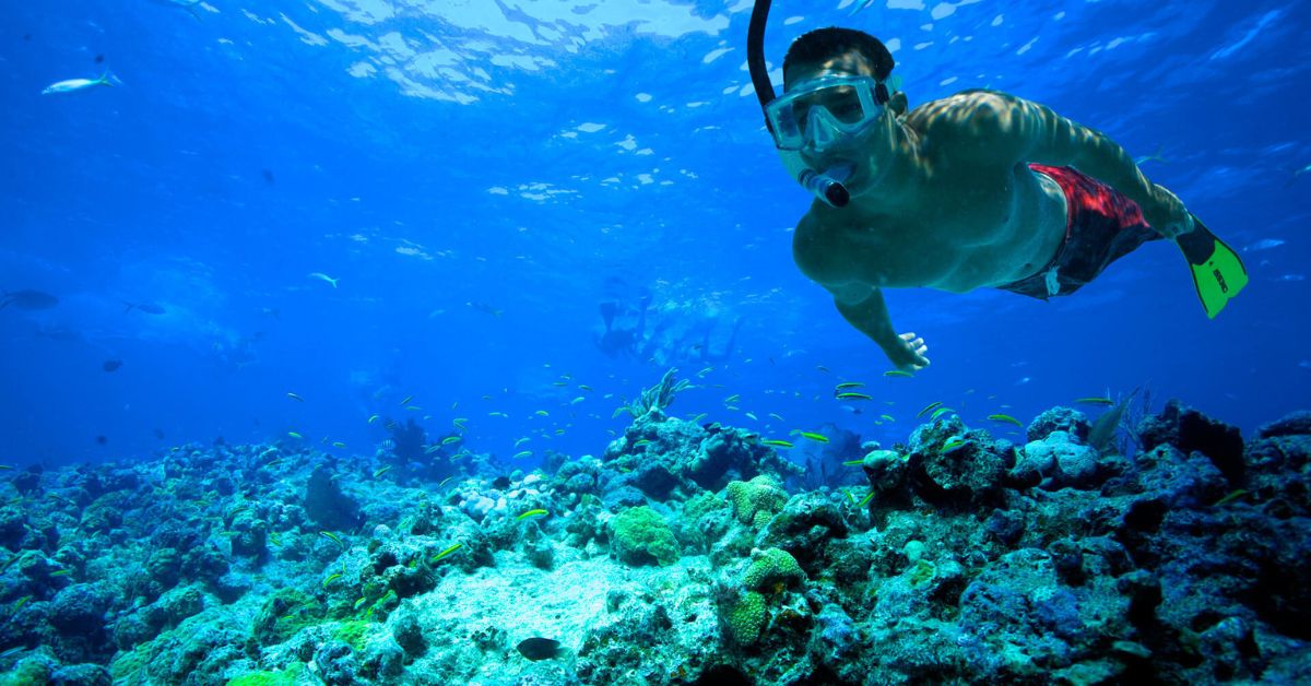 Snorkeling