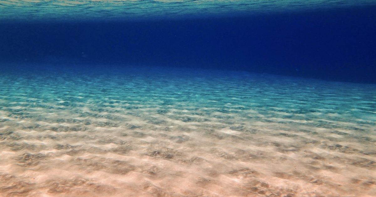 Subacquei Clandestini CCF Sharm