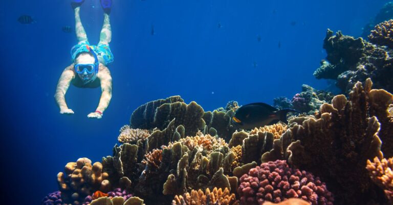 Best Places To Enjoy Snorkeling in Sharm El Sheikh