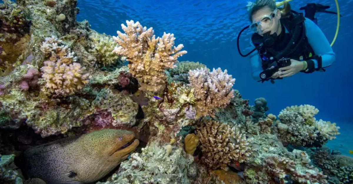 Undersea Adventures Diving Center